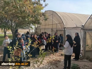 دانشکده ملی مهارت دختران دکتر شریعتی برگزار کننده روزدرهای بازدانشگاه بود 4