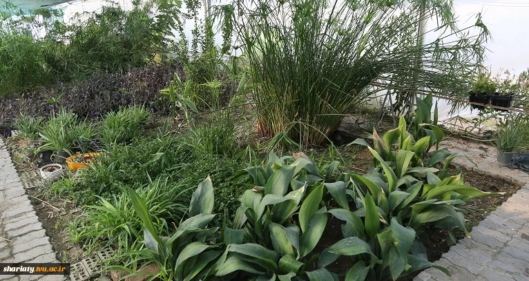 گروه کشاورزی