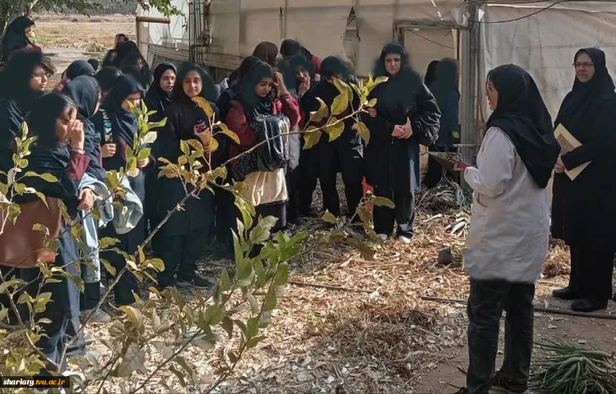 بازدید دانش آموزان مدارس متوسطه اول منطقه 2 تهران درقالب تور یک روزه از امکانات و فضای آموزشی دانشکده 3