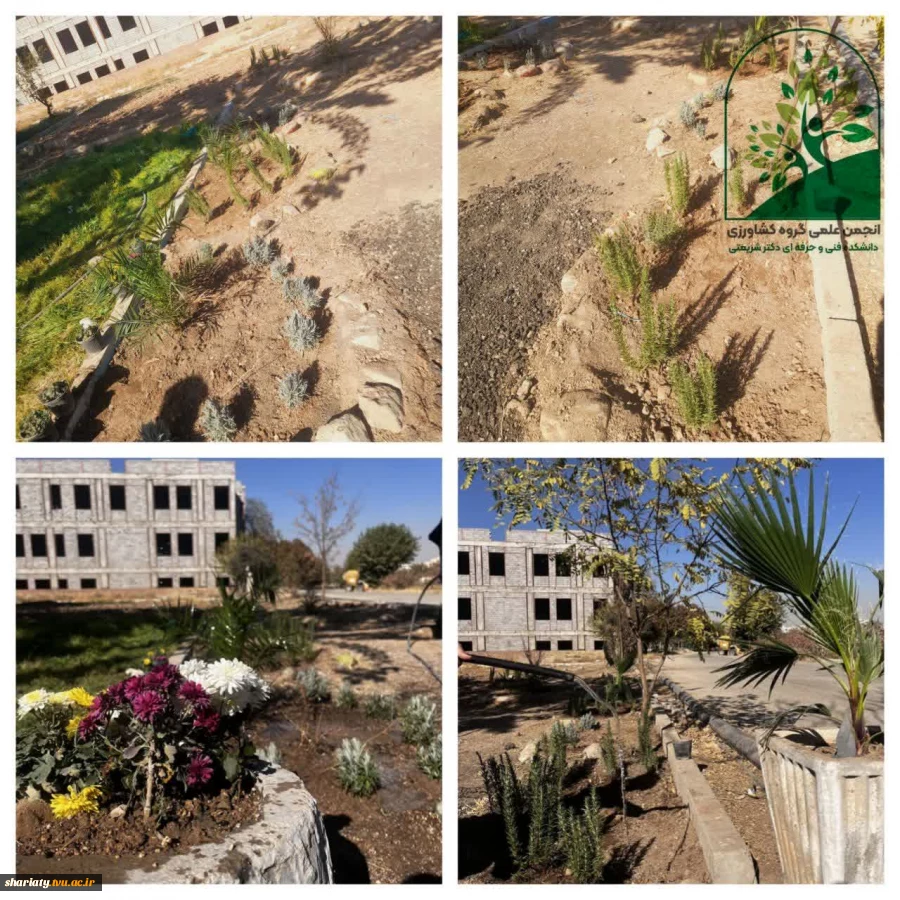 زیبا سازی، ساماندهی و گل آرایی محوطه‌ی فضای گلخانه دانشکده 2