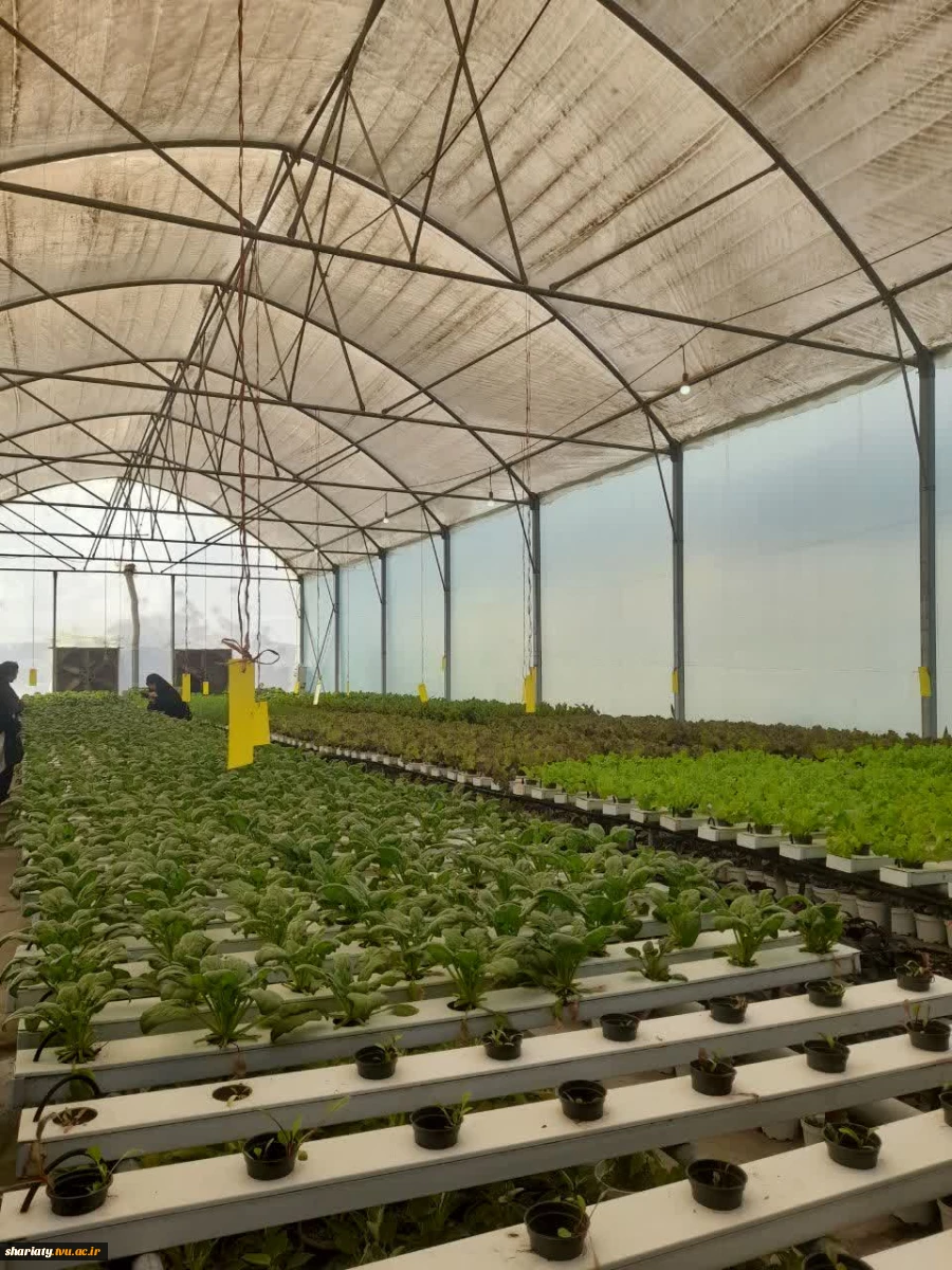 بازید انجمن علمی گروه کشاورزی دانشکده دخترانه دکتر شریعتی از موسسه آمورش عالی امام خمینی (ره) کرج 7