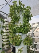 بازید انجمن علمی گروه کشاورزی دانشکده دخترانه دکتر شریعتی از موسسه آمورش عالی امام خمینی (ره) کرج 11