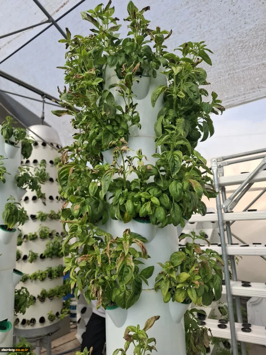 بازید انجمن علمی گروه کشاورزی دانشکده دخترانه دکتر شریعتی از موسسه آمورش عالی امام خمینی (ره) کرج 11