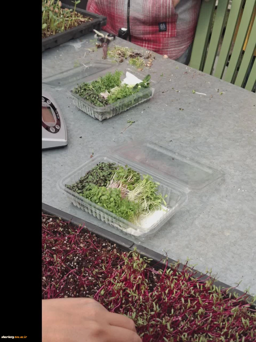 بازید انجمن علمی گروه کشاورزی دانشکده دخترانه دکتر شریعتی از موسسه آمورش عالی امام خمینی (ره) کرج 12