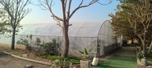 احیای ۱۰۰۰ متر مربع از گلخانه‌های دانشکده: گامی مهم در تقویت آموزش‌های عملی رشته‌های کشاورزی و گیاهان دارویی 2