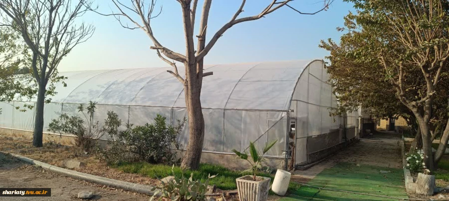 احیای ۱۰۰۰ متر مربع از گلخانه‌های دانشکده: گامی مهم در تقویت آموزش‌های عملی رشته‌های کشاورزی و گیاهان دارویی 2