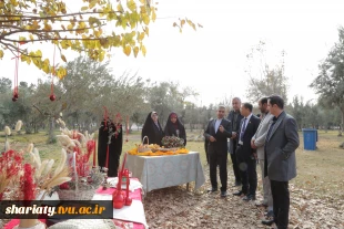 بازدید رئیس کارگروه توسعه مهارت، فناوری‌های کاربردی و نوآوری بریکس از دانشکده ملی‌مهارت دختران دکتر شریعتی 17