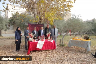 بازدید رئیس کارگروه توسعه مهارت، فناوری‌های کاربردی و نوآوری بریکس از دانشکده ملی‌مهارت دختران دکتر شریعتی 18