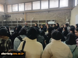 بازدید دانش آموزان هنرستان فنی حرفه ای از دانشکده در هفته پژوهش 6