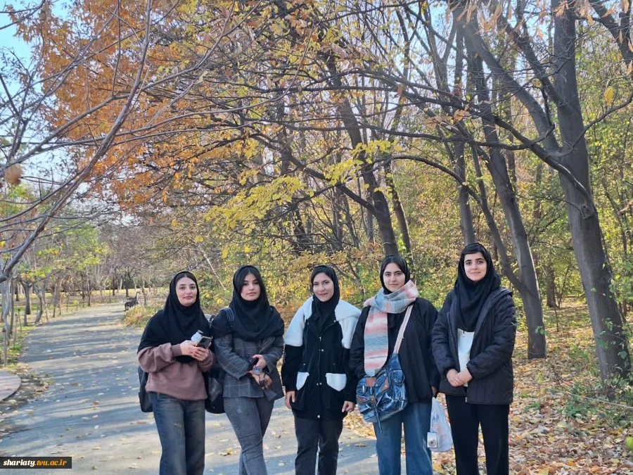 برگزاری ویژه برنامه یلدای1404 4