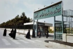 گالری تصاویر 4