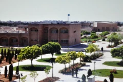 گالری تصاویر 5