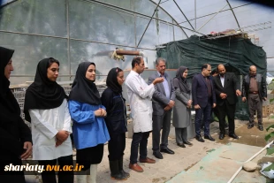 بازدید رئیس دانشگاه ملی مهارت از گلخانه دانشکده شریعتی و گفتگو با اساتید و دانشجویان 4
