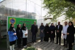 بازدید رئیس دانشگاه ملی مهارت از گلخانه دانشکده شریعتی و گفتگو با اساتید و دانشجویان 7
