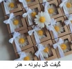 شمع 11