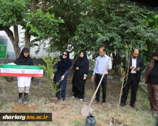 کاشت نهال یادبود شهدای دانشگاهی جنگ رمضان در دانشکده شریعتی به مناسبت هفته سرآمدی آموزشی و گرامیداشت مقام استاد 2