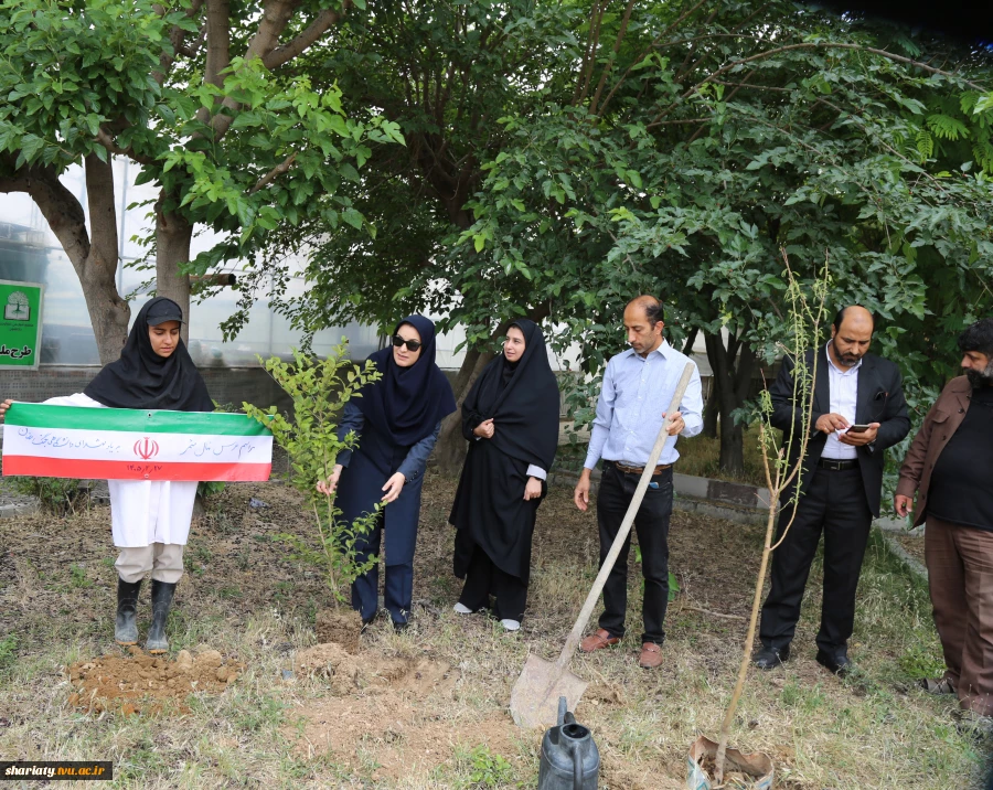 کاشت نهال یادبود شهدای دانشگاهی جنگ رمضان در دانشکده شریعتی به مناسبت هفته سرآمدی آموزشی و گرامیداشت مقام استاد 2