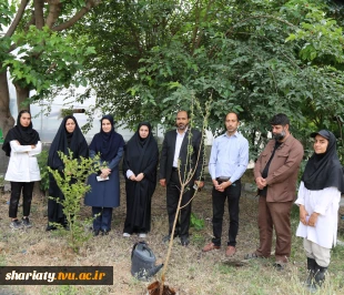 کاشت نهال یادبود شهدای دانشگاهی جنگ رمضان در دانشکده شریعتی به مناسبت هفته سرآمدی آموزشی و گرامیداشت مقام استاد 5