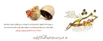 گرامیداشت آزاد سازی خرمشهر 2